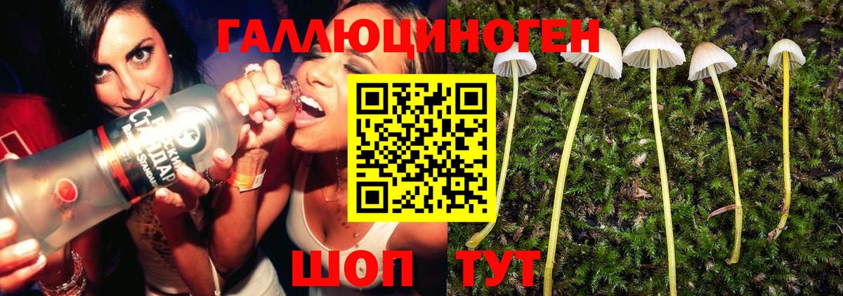 Галлюциногенные грибы прущие грибы Когалым